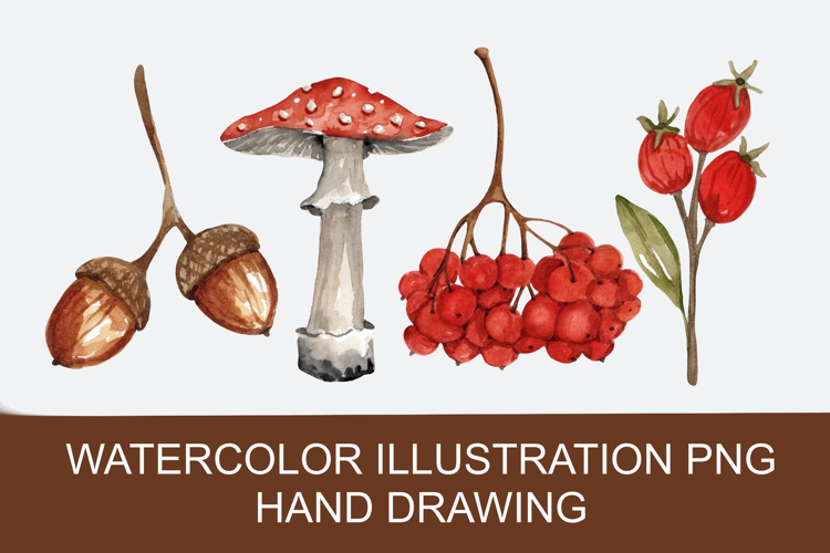 Autumn watercolor clipart PNG, hand-drawn