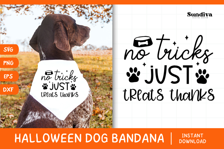 Bandana Clipart Image 20