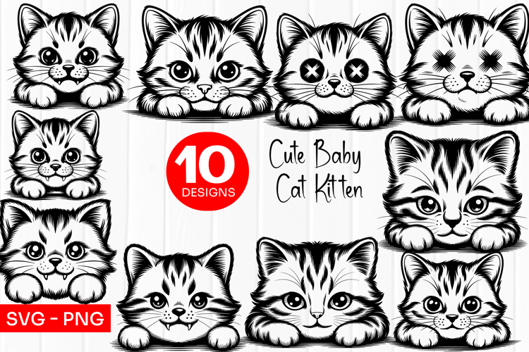 Cute Baby Kitten Clipart SVG PNG