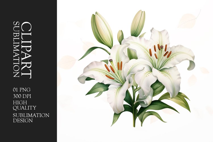 Flower Clipart Image 19