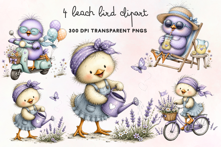 Beach Bird Clipart PNG