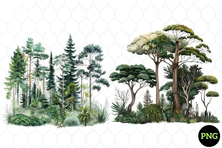 Baum Png