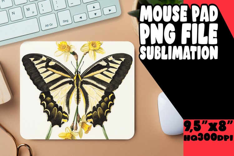 Butterfly Clipart Image 7