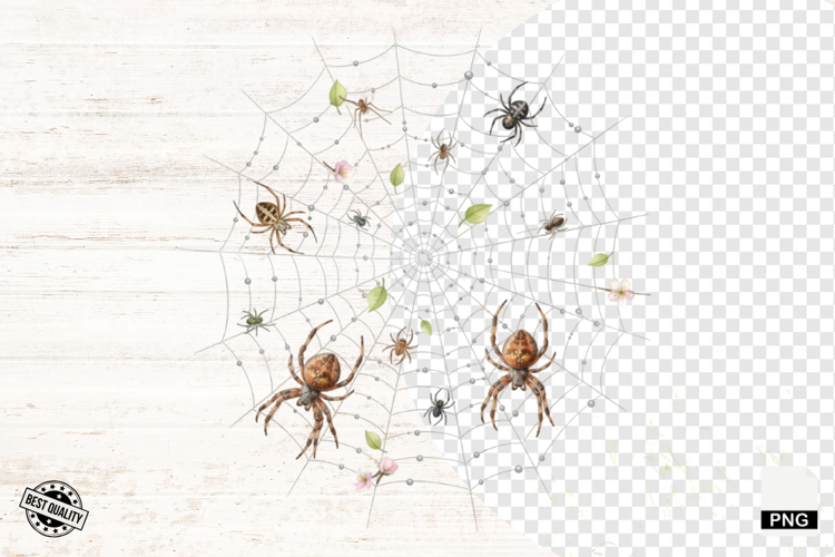 Spider Clipart Image 5