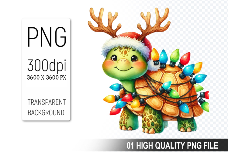 Turtle Png Image 17