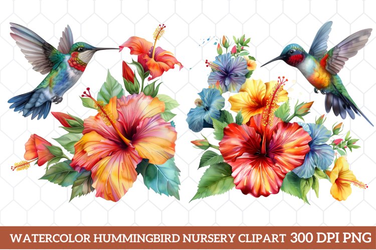 Hummingbird Clipart Image 14