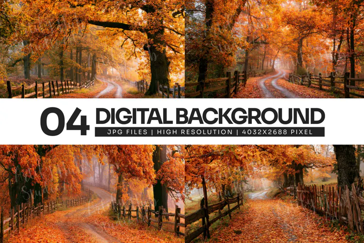 Golden Autumn Country Road Forest Background