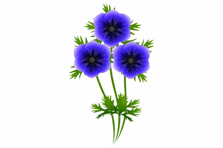 Birthday Clipart Image 11