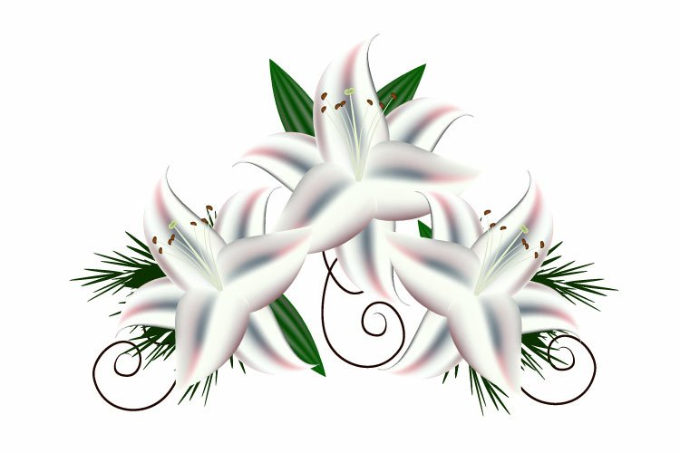 Green Nature Background Image 19