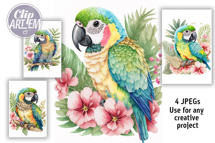 Jungle Clipart Image 11