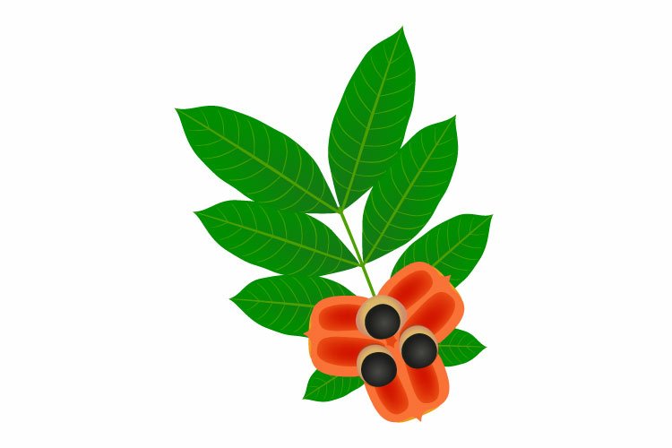 Rip Clipart Image 24