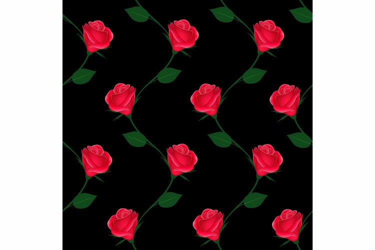 Rose Background Image 8