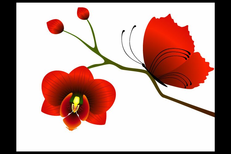 Butterfly Clipart Image 16