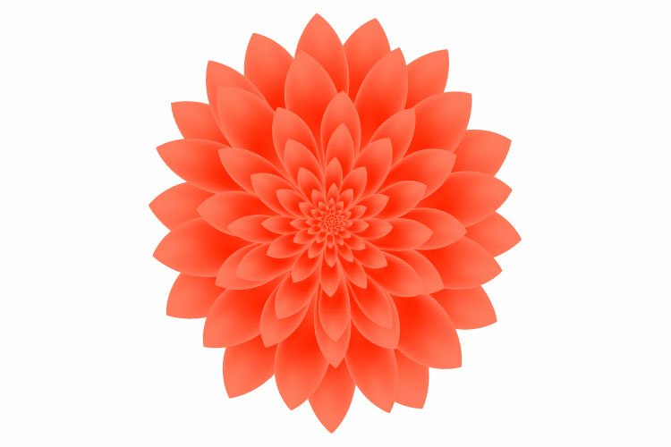 Flower Drawing Image 14
