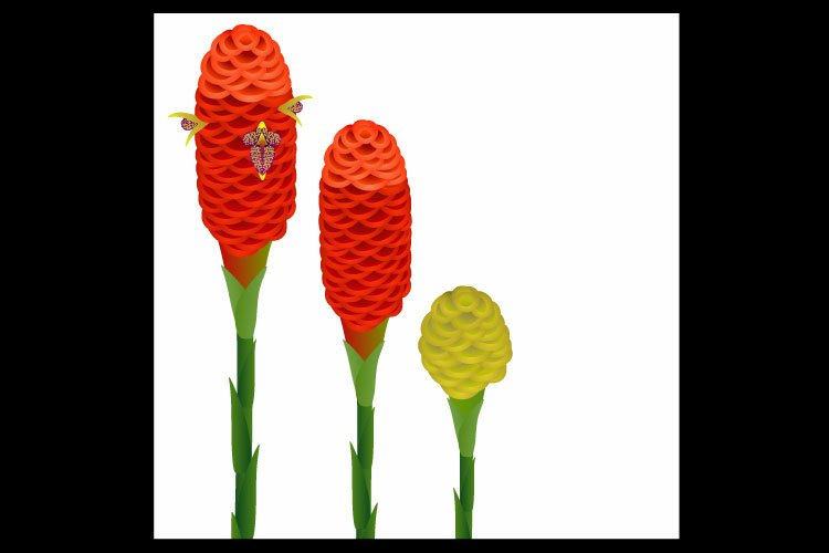 Garden Background Image 21