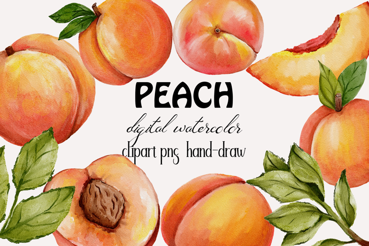 Peaches watercolor clipart png, hand drawn