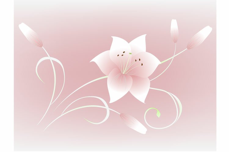 Magic Background Image 20