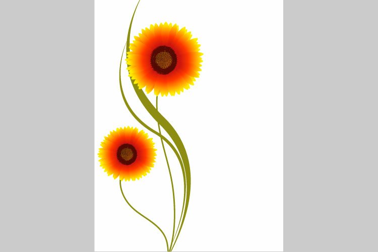 Floral background with gaillardia.