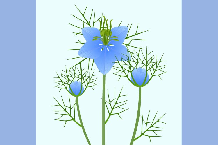 Garden Background Image 10