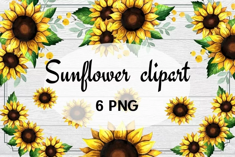 Sunflower clipart Watercolor