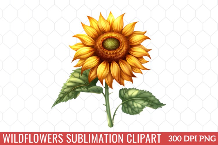 Spring Clipart Image 19
