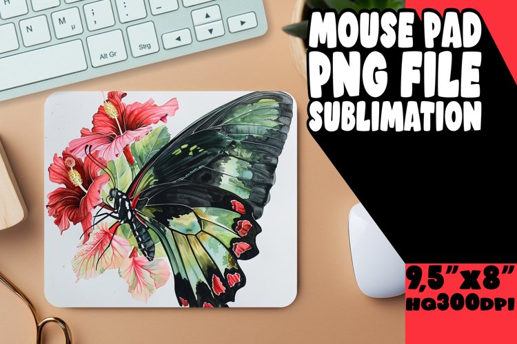 Butterfly Clipart Image 14