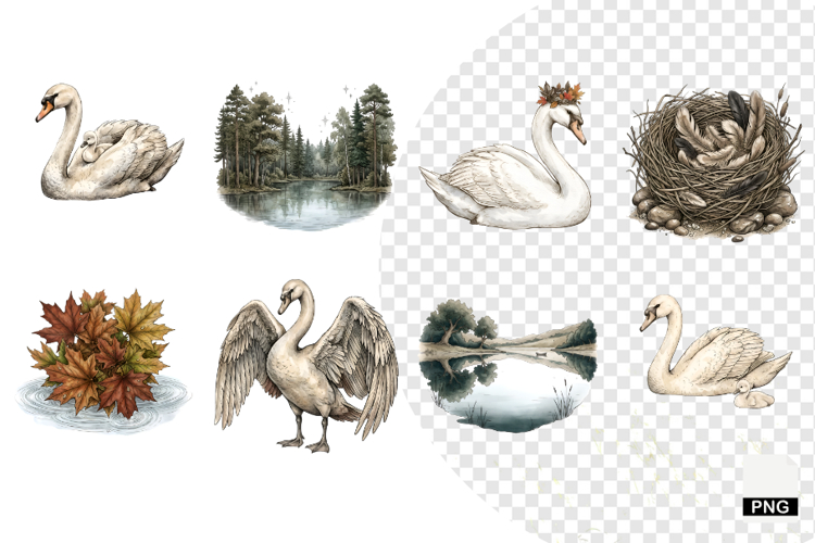 Autumn Swan Lake Clipart