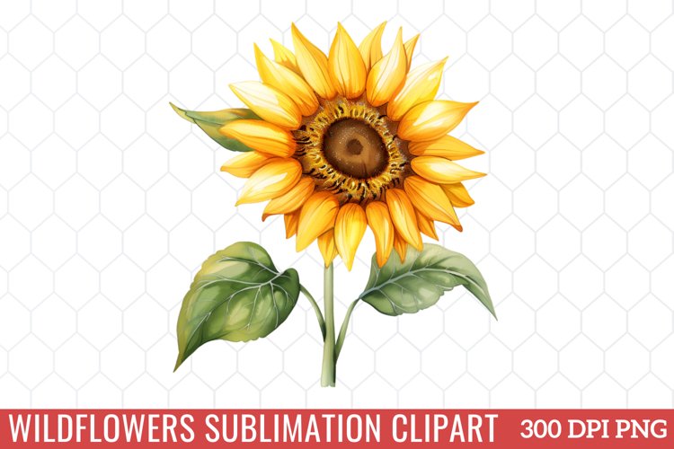 Spring Clipart Image 15