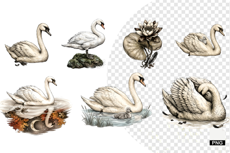 Autumn Swan Lake Clipart