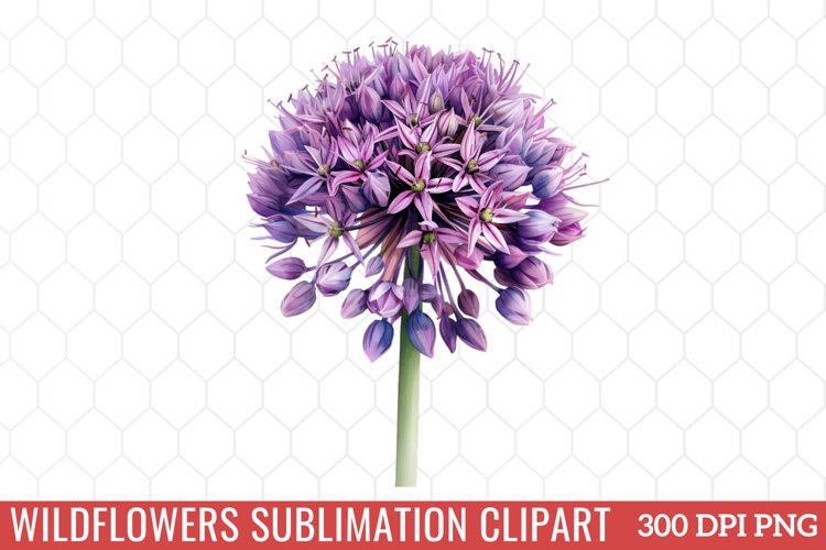 Wildflowers Sublimation Clipart