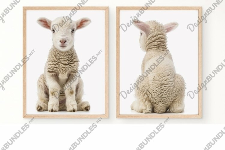 Baby Lamb Nursery Baby Animal Wall Art, Set of 2