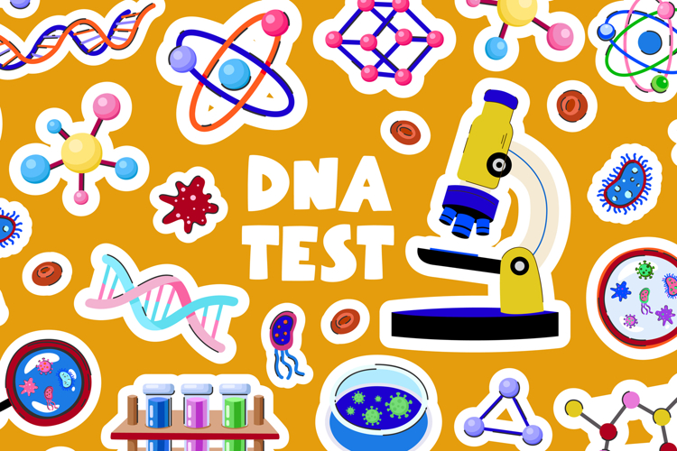 Hand Drawn Science and Biology Clipart Laboratory