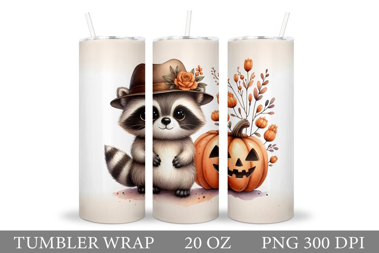 Raccoon Clipart Image 22