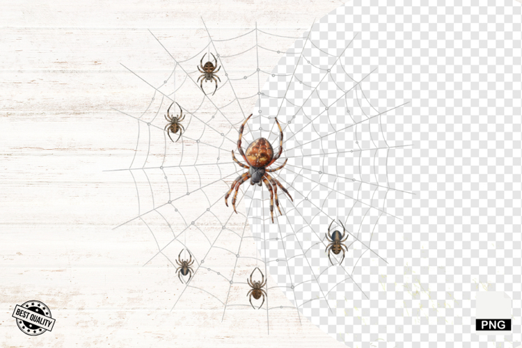 Spider Clipart Image 4