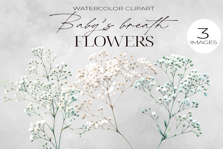 Watercolor Flower Clipart