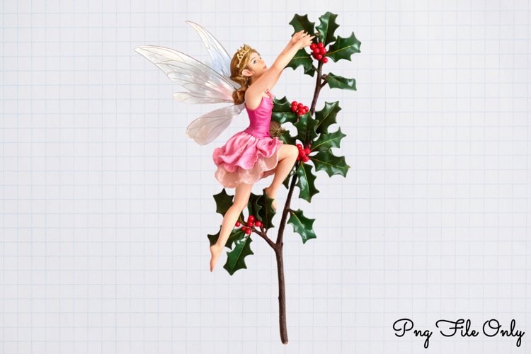 Fairy Png Image 13