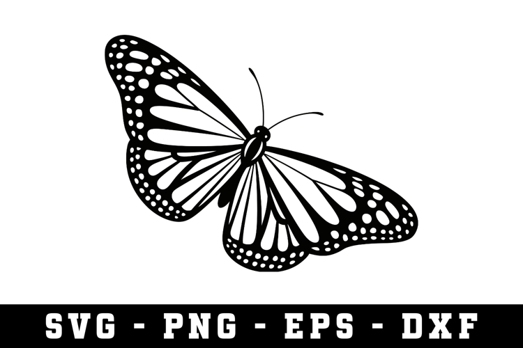Butterfly SVG | SVG Cut files | Cricut