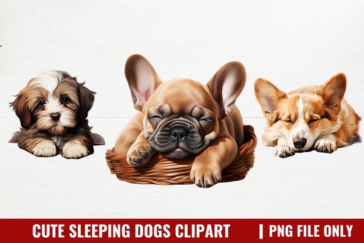 Sleeping Clipart Image 13