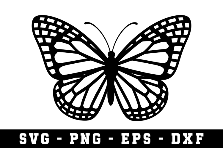 Butterfly SVG | SVG Cut files | Cricut