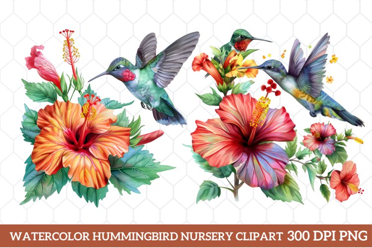 Hummingbird Clipart Image 13
