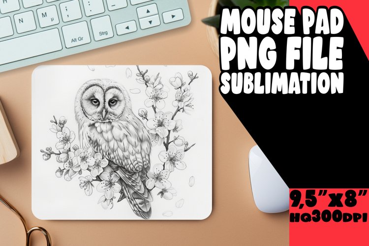 Owl Clipart Image 20