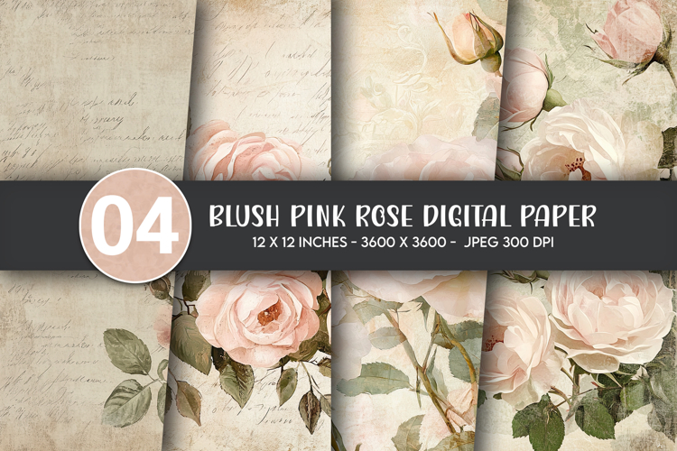 Blush Pink Rose Digital Paper example image 1