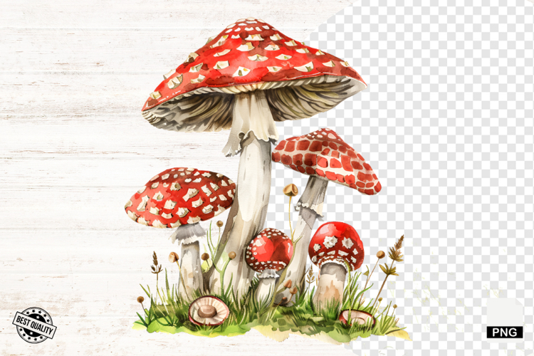 Mushroom Png Image 14