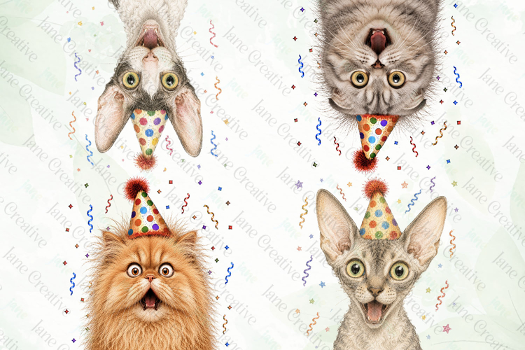 Surprise Birthday Cat PNG Clipart