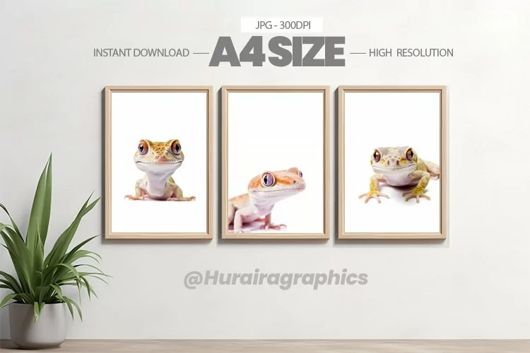 Animal Wall Art - 03 Variations