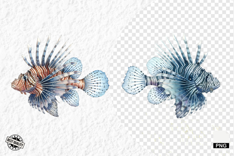 Sea Creatures Clipart Image 23