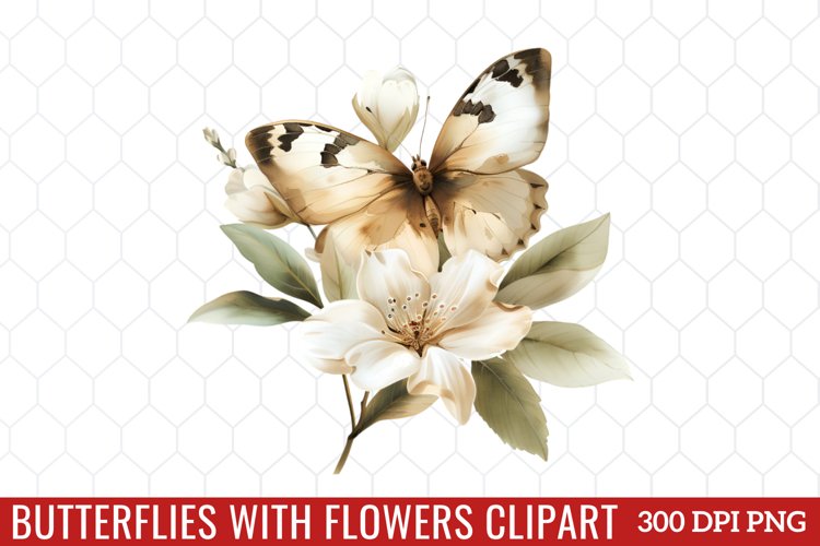 Butterfly Clipart Image 13