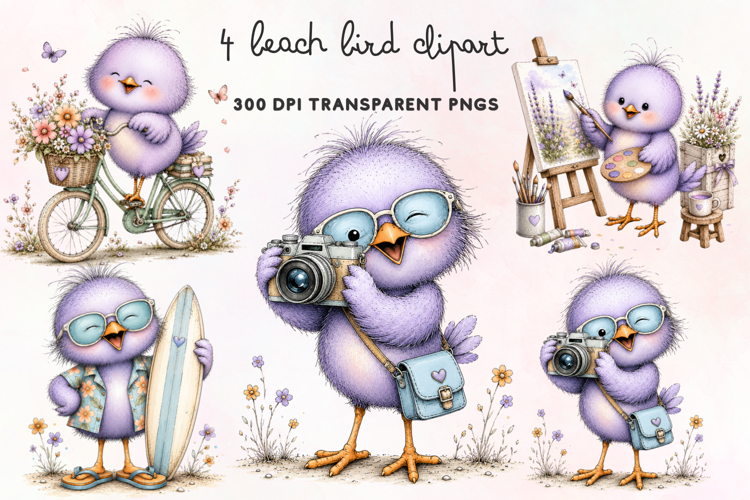 Beach Bird Clipart PNG