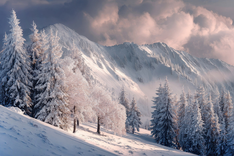 Winter Mountain Landscape