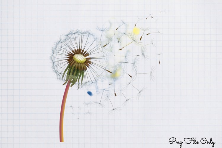 Boho Clipart Image 7
